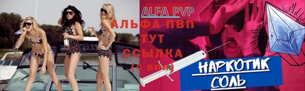 винт Пересвет