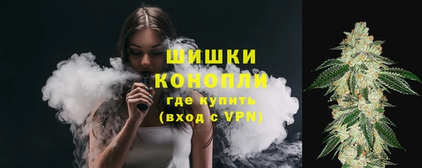 PSILOCYBIN Переславль-Залесский