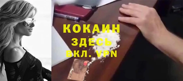 винт Пересвет