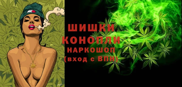 PSILOCYBIN Переславль-Залесский