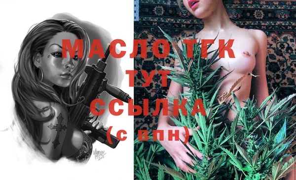 винт Пересвет