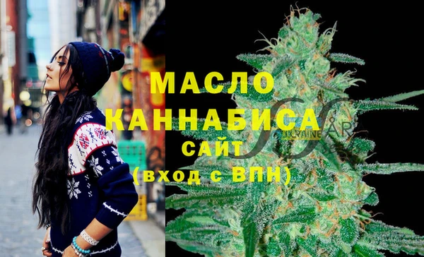 винт Пересвет