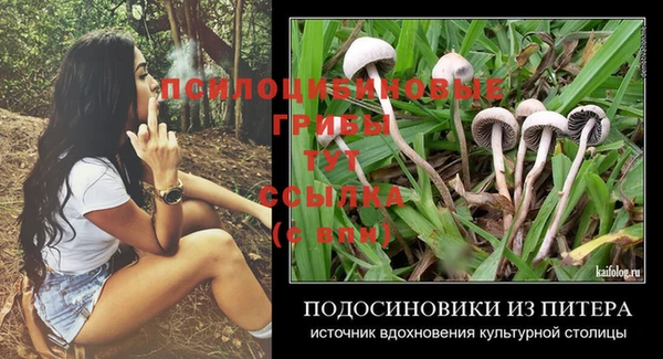 винт Пересвет