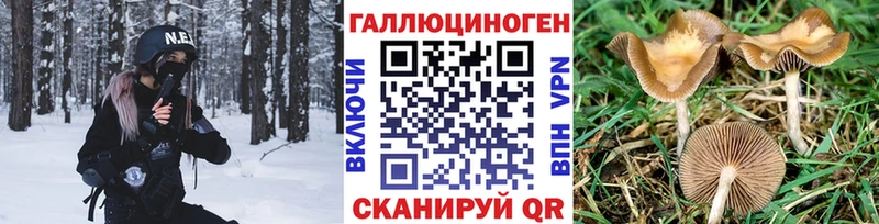 Псилоцибиновые грибы ЛСД  закладка  Советская Гавань 